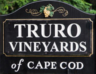 Truro Vineyard Logo